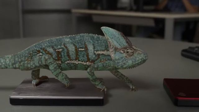 Забавный хамелеон... смотреть онлайн