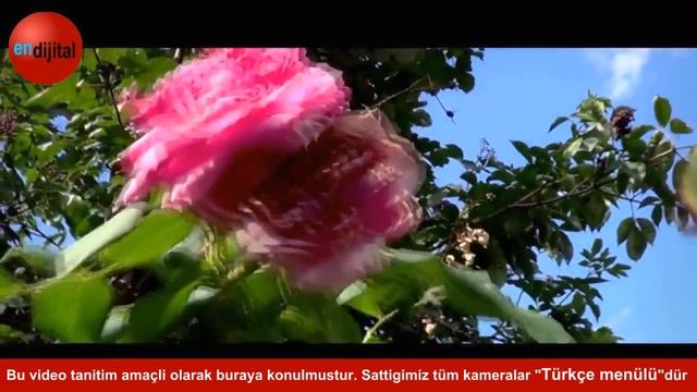 Sony HDR-CX190E - http://dukkanlar.gittigidiyor.com/endijital/ n смотреть онлайн