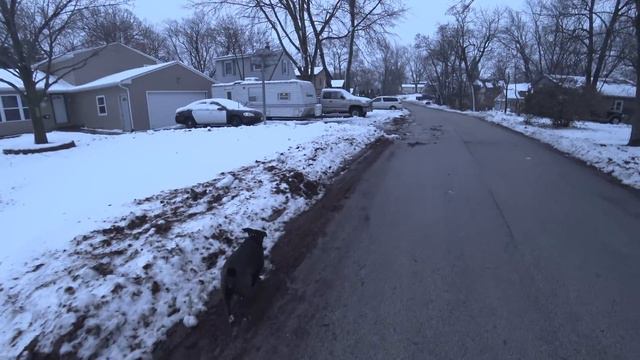 Прогулка с собаками по оттепели смотреть онлайн