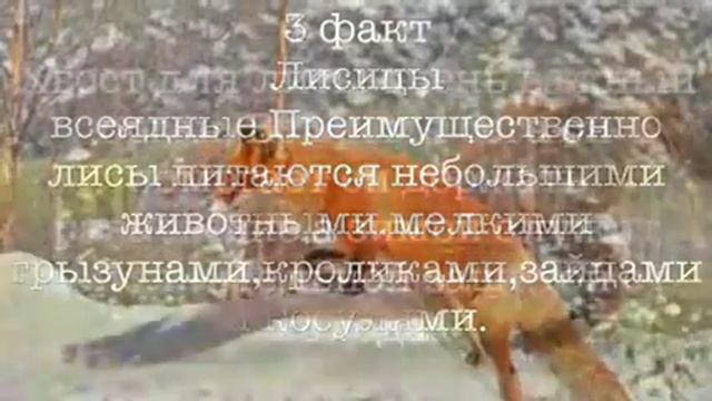 ,,Интересные факты о лисах" смотреть онлайн