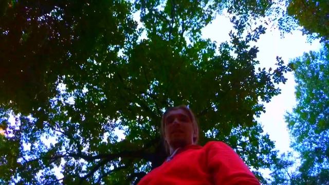 ВЛОГ : Вековой ДУБ. Дерево которому больше 100 лет. Пробежка с собакой. смотреть онлайн