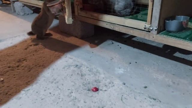 БИЗНЕС ХАРГУШ ВА ДАРОМАДИ ХУБ 1500.СОМОН смотреть онлайн