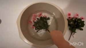 Как быстро и просто оживить мятые искусственные цветы