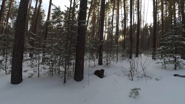 Раффи на прогулке смотреть онлайн