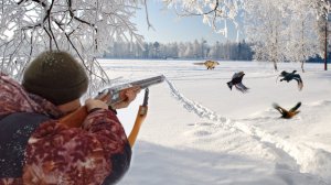 Охота на тетерева на лунках. Лиса идёт за мной по пятам!
