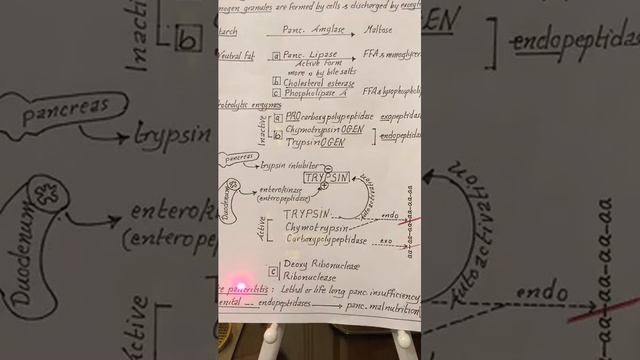 GIT 4 -- 6 Apr 2018 -- [ vomiting , pancreatic secretion , liver & biliary system ] смотреть онлайн