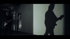Дельфин | Dolphin - QT