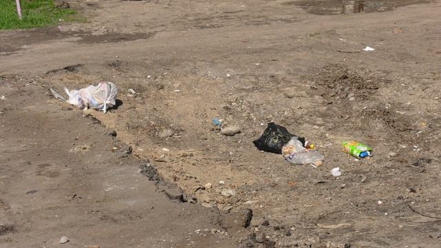 В Черкесске появятся новые контейнерные площадки для мусора