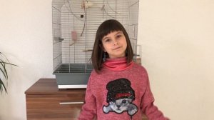 Когда можно выпускать попугая полетать? Как приучить возвращаться в клетку?