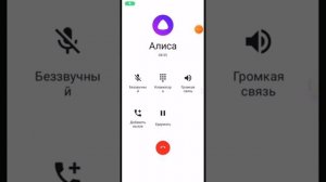 мне позвонила алиса