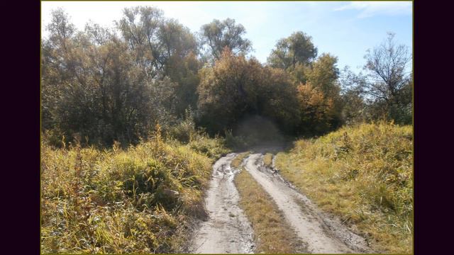 Лето Битлз смотреть онлайн