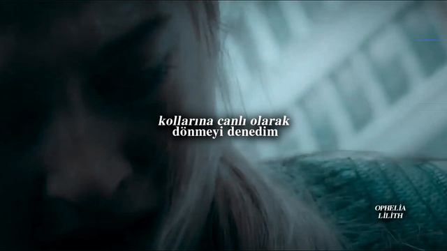 Mother Mother - Arms Tonite (Türkçe Çeviri)