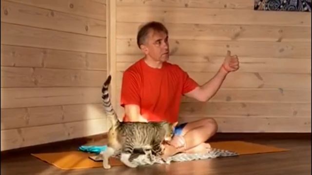 Фестиваль йоги СФЕРА & Ладожский дом, август 2020 смотреть онлайн