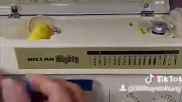 ?MÁY MAY RICCAR MIGHTY? смотреть онлайн