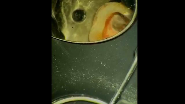 2021-07-23 Как извлекать файлы. смотреть онлайн