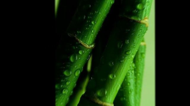 💚Эстетика моей ос💚 смотреть онлайн