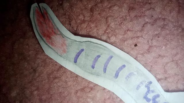 Godzilla Singularity против Kamata Kun