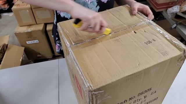 Unboxing 4 boxes and one had a Pyramid Planter in it. What even is that! Online Reselling смотреть онлайн