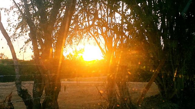 Dark Guitar - Bass Sunshine (audio) смотреть онлайн