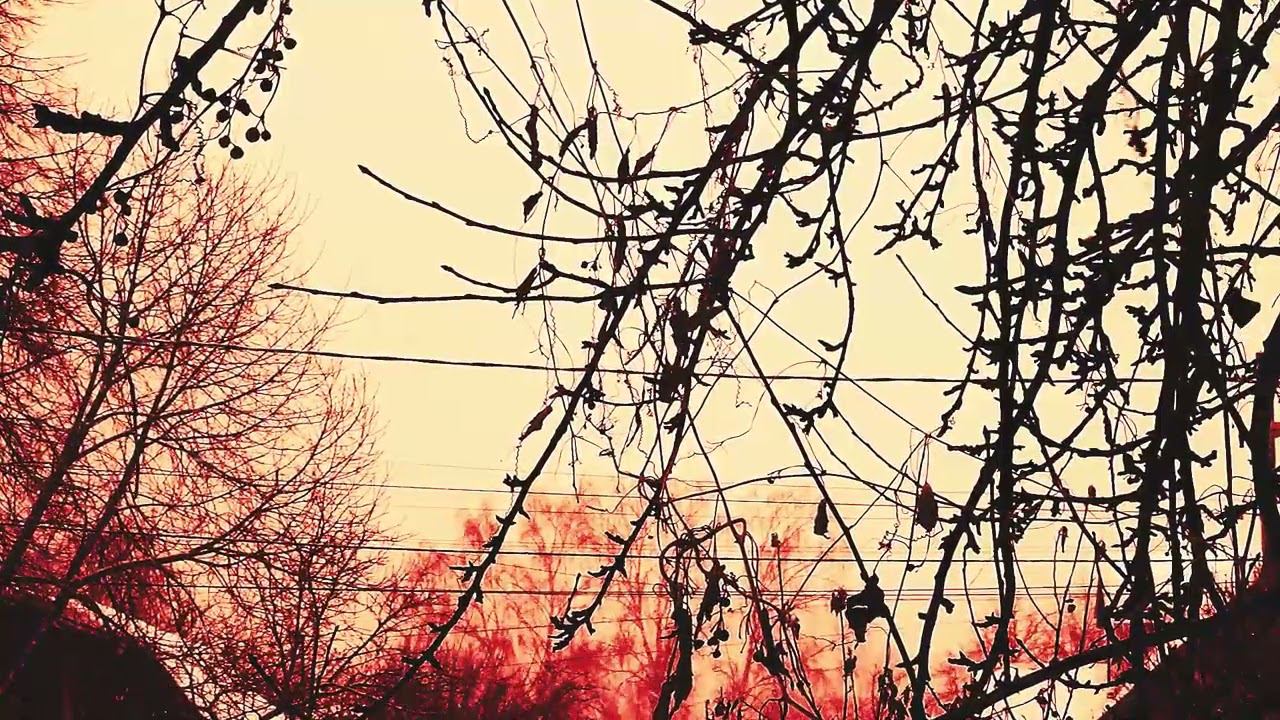 ENDLESS SNOWFALL (Sounds By Behringer Crave, Behringer Neutron, Behringer Td-3)