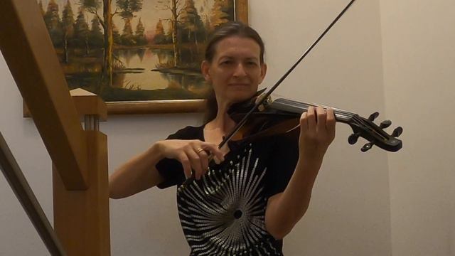 Song From A Secret Garden/Rolf Lovland - Cover By LiliaViolin