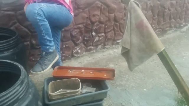Кактус квест смотреть онлайн