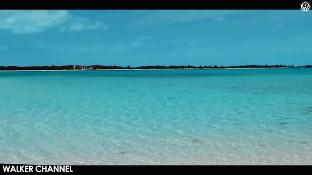 DNDM, RILTIM, ADIK, DAVIT BARQAIA, IMAZEE, ZUBI, HUSSEIN ARBABI, MZADE, GHAMARNI, MYRIAM FARES #125