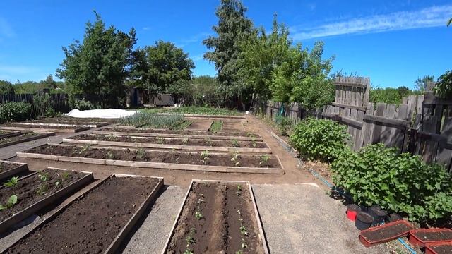 ШАУРМА с АЙРАНОМ и ФРУКТАМИ/ВКУСНО ОТОБЕДАЛИ ОТЛИЧНО ПО ТРУДИЛИСЬ/Обзор ЦВЕТНИКА и ОГОРОДА на 11мая смотреть онлайн