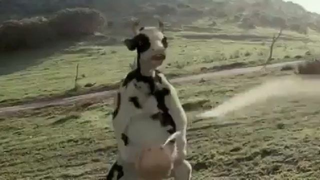 Kovi U Mardu Kriv@ Cicaxalu Video