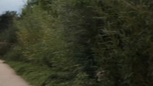 Mc Melodee,Mariama,REMI _I Got IT!!! (Prod by A.N.G) смотреть онлайн