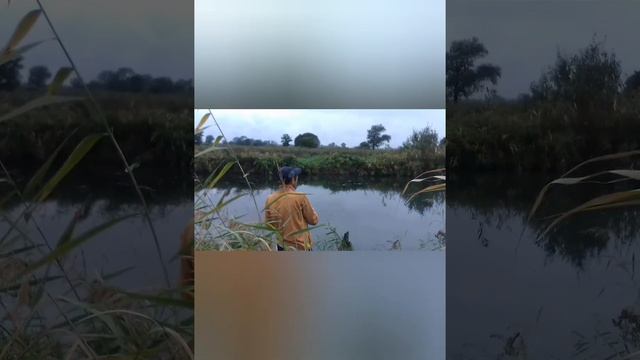 Осенняя рыбалка на спиннинг 2022 смотреть онлайн