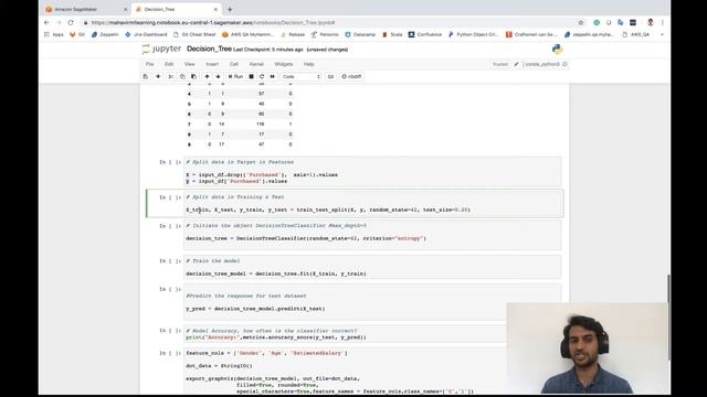 Decision Tree Python Implementation | Scikit Learn | Visuals DT Creation | Practical | Pruning смотреть онлайн