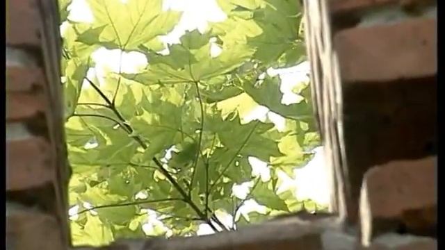 Печерский монастырь часть 1 смотреть онлайн