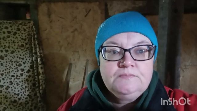 Очень холодно. Везде на расхват😉 Простая жизнь обычной семьи! Видео 2023 г. смотреть онлайн