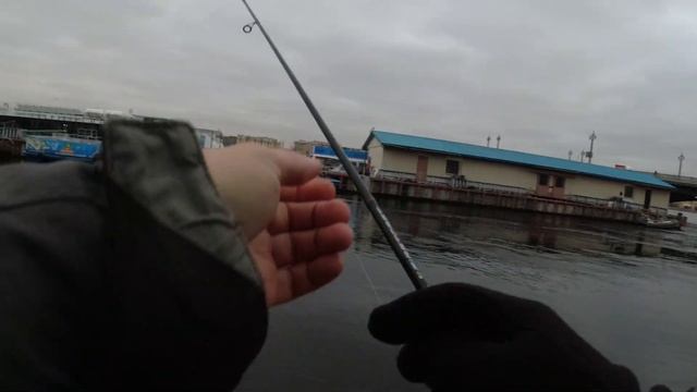 #477 #streetfishing | Раздача Невских Окуней | смотреть онлайн