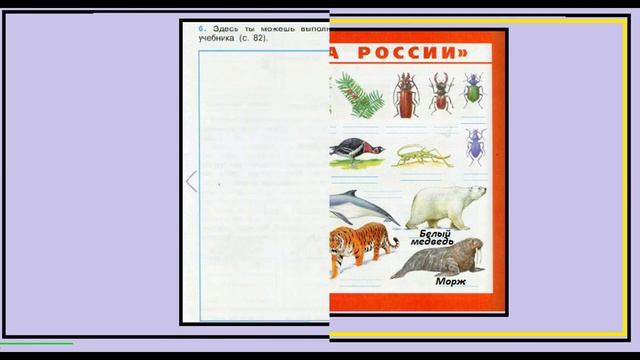 Окружающий мир 4 класс рабочая тетрадь. Зона арктических пустынь смотреть онлайн