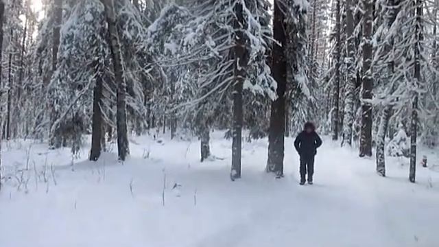 Мечтания по вечерам - Авт Любовь Чернышова музыка и исполнитель Николай Жуков смотреть онлайн