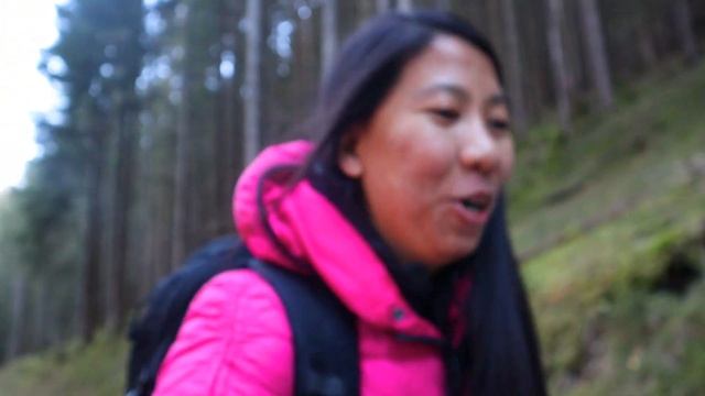 Hiking In Germany | Bad Hindelang