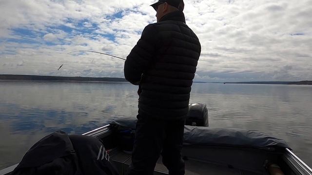 Белоярка апрель 2022 смотреть онлайн