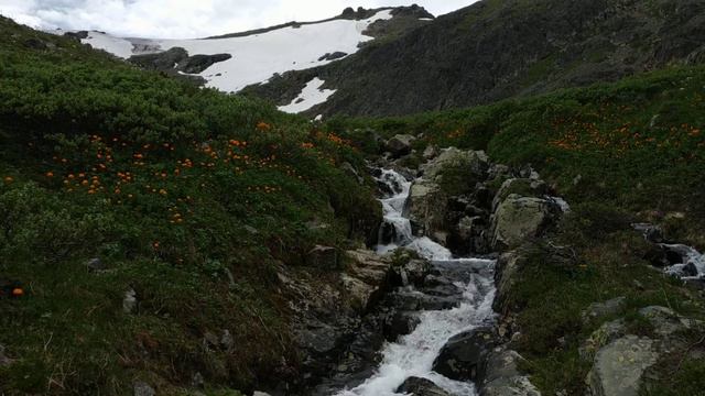 Июль в горах Алтая. Красная гора 2019 г. смотреть онлайн