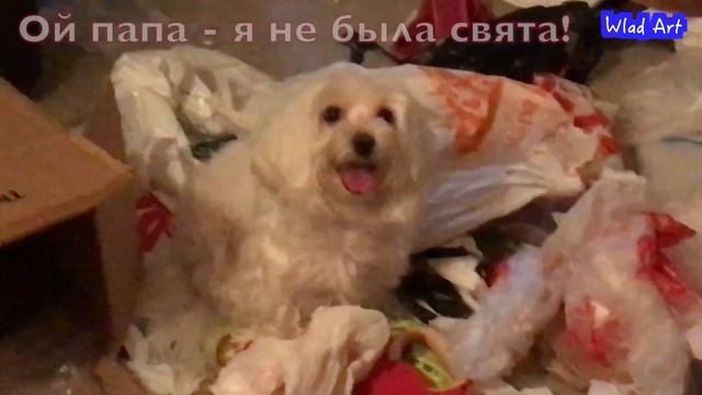 Люся / Не свята KAZKA 2018 смотреть онлайн