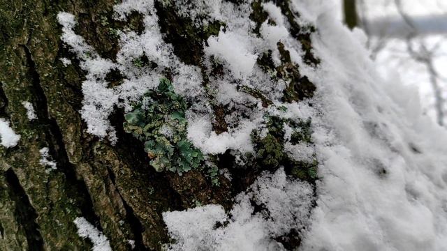 Зимняя рыбалка 2 февраля2023 смотреть онлайн