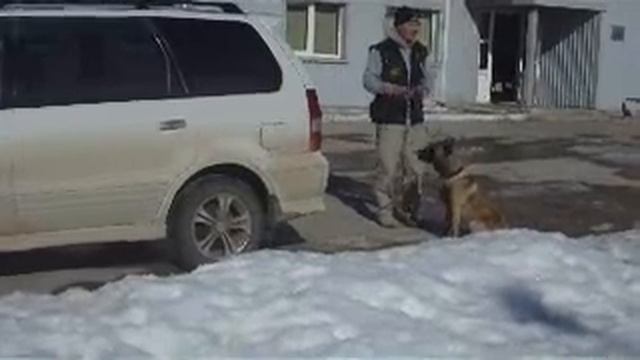 Поиск на автомашине смотреть онлайн
