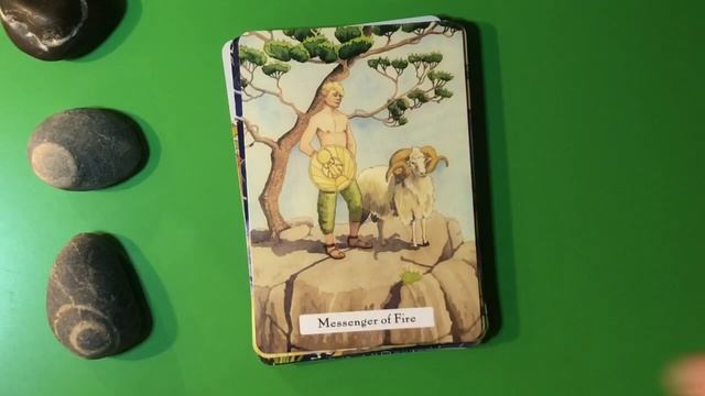 The Witches’ Wisdom Tarot смотреть онлайн