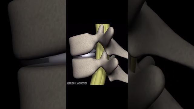 Не делай так, береги спину. смотреть онлайн