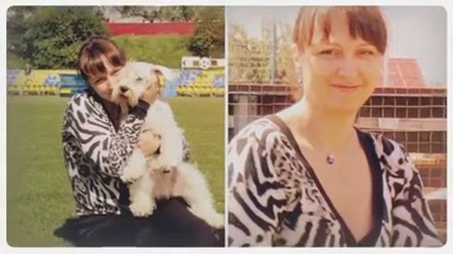 Asson Ari Brem Blansh - белый цвергшнауцер