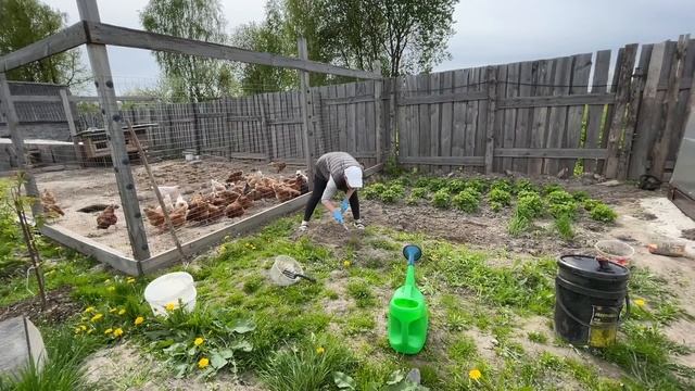БЮДЖЕТНЫЙ ВОДОПРОВОД НА УЧАСТКЕ ГОТОВ! УСПЕТЬ ДО ЗИМЫ! НАША ФЕРМА! ЖИЗНЬ ПРОСТЫХ ЛЮДЕЙ В ДЕРЕВНЕ смотреть онлайн