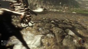 Гайд как размножать и ловить кроликов в The Forest