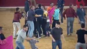 Смешное видео про животных. Быки против людей. Испанская коррида.