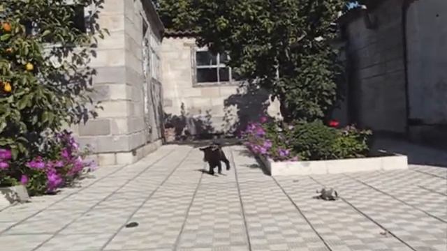 ДЕВКИ смотреть онлайн